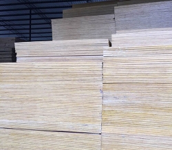 建築91视频软件APP下载